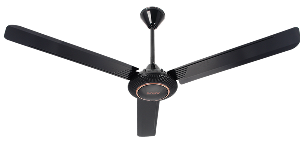Black Fan